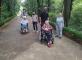 Les roses du parc de Bagatelle pour les Rabelaisiens. Résidence Rabelais Asnières-sur-Seine